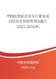 中国能源信息安全行业发展调研及前景趋势预测报告（2025-2031年）