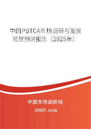 中国PBTCA市场调研与发展前景预测报告（2025年）