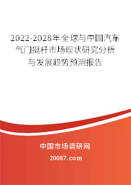 2022-2028年全球与中国汽车气门挺杆市场现状研究分析与发展趋势预测报告