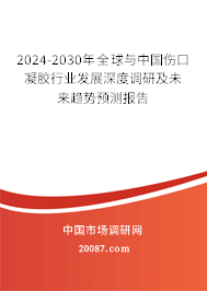 2024-2030年全球与中国伤口凝胶行业发展深度调研及未来趋势预测报告
