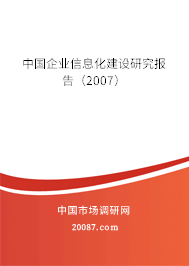 中国企业信息化建设研究报告（2007）