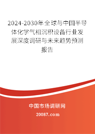 2024-2030年全球与中国半导体化学气相沉积设备行业发展深度调研与未来趋势预测报告