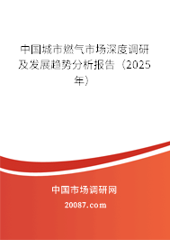 中国城市燃气市场深度调研及发展趋势分析报告（2025年）