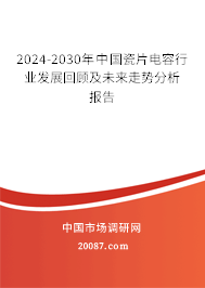 2024-2030年中国瓷片电容行业发展回顾及未来走势分析报告