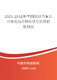 2025-2031年中国电动汽车公共充电站市场现状与前景趋势预测