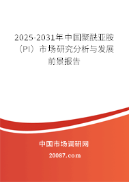 2025-2031年中国聚酰亚胺(PI)市场研究分析与发展前景报告 2025-2031年中国聚酰亚胺(PI)市场研究分析与发展前景报告