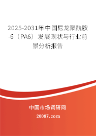 2025-2031年中国尼龙聚酰胺-6（PA6）发展现状与行业前景分析报告