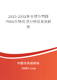 2025-2031年全球与中国PA66市场现状分析及发展趋势