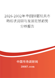 2026-2032年中国拼搭玩具市场现状调研与发展前景趋势分析报告 2026-2032年中国拼搭玩具市场现状调研与发展前景趋势分析报告