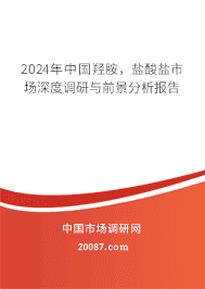 2023年中国羟胺,盐酸盐市场深度调研与前景分析报告 2023年中国羟胺,盐酸盐市场深度调研与前景分析报告