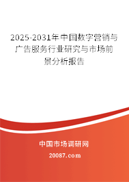 2025-2031年中国数字营销与广告服务行业研究与市场前景分析报告