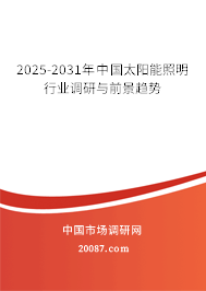 2025-2031年中国太阳能照明行业调研与前景趋势