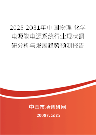 2025-2031年中国物理-化学电源能电源系统行业现状调研分析与发展趋势预测报告