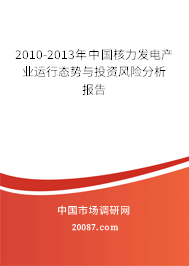 2010-2013年中国核力发电产业运行态势与投资风险分析报告