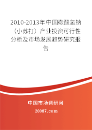 2010-2013年中国碳酸氢钠（小苏打）产业投资可行性分析及市场发展趋势研究报告