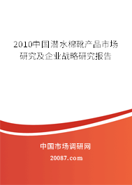 2010中国潜水棉靴产品市场研究及企业战略研究报告