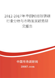 2012-2017年中国粘结钕铁硼行业分析与市场发展趋势研究报告