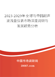2023-2029年全球与中国超声波流量仪表市场深度调研与发展趋势分析