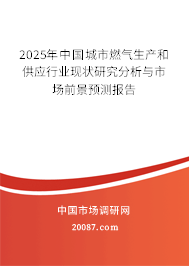 2025年中国城市燃气生产和供应行业现状研究分析与市场前景预测报告