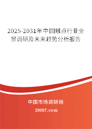 2025-2031年中国触点行业全景调研及未来趋势分析报告