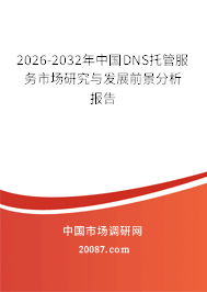 2026-2032年中国DNS托管服务市场研究与发展前景分析报告