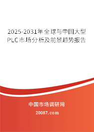 2025-2031年全球与中国大型PLC市场分析及前景趋势报告