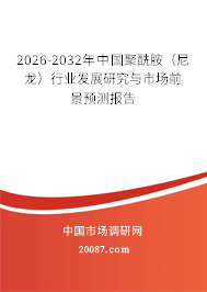2026-2032年中国聚酰胺（尼龙）行业发展研究与市场前景预测报告