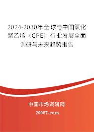 2024-2030年全球与中国氯化聚乙烯（CPE）行业发展全面调研与未来趋势报告