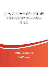 2025-2031年全球与中国曲棍球棒发展现状分析及市场前景报告