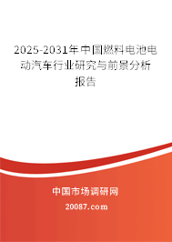 2025-2031年中国燃料电池电动汽车行业研究与前景分析报告