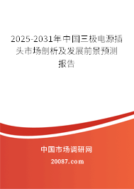 2025-2031年中国三极电源插头市场剖析及发展前景预测报告