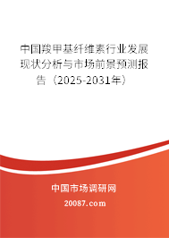 中国羧甲基纤维素行业发展现状分析与市场前景预测报告(2025-2031年) 中国羧甲基纤维素行业发展现状分析与市场前景预测报告(2025-2031年)