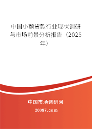 中国小额贷款行业现状调研与市场前景分析报告（2025年）