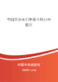 中国其他未列明业市场分析报告 中国其他未列明业市场分析报告
