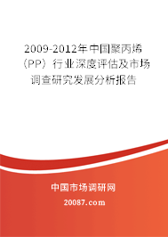 2009-2012年中国聚丙烯（PP）行业深度评估及市场调查研究发展分析报告