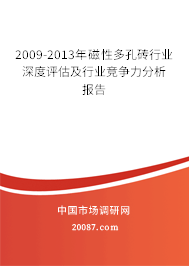 2009-2013年磁性多孔砖行业深度评估及行业竞争力分析报告 2009-2013年磁性多孔砖行业深度评估及行业竞争力分析报告