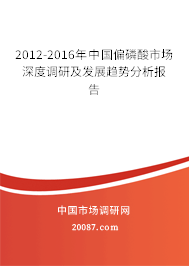 2012-2016年中国偏磷酸市场深度调研及发展趋势分析报告