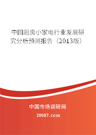 中国厨房小家电行业发展研究分析预测报告（2013版）