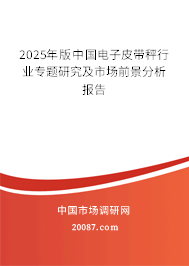 2025年版中国电子皮带秤行业专题研究及市场前景分析报告
