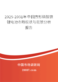 2025-2031年中国方形磷酸铁锂电池市场现状与前景分析报告