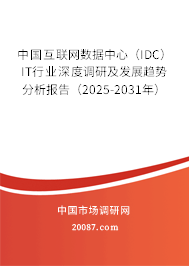 中国互联网数据中心(IDC)IT行业深度调研及发展趋势分析报告(2025-2031年) 中国互联网数据中心(IDC)IT行业深度调研及发展趋势分析报告(2025-2031年)