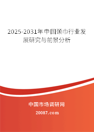2025-2031年中国颈巾行业发展研究与前景分析 2025-2031年中国颈巾行业发展研究与前景分析
