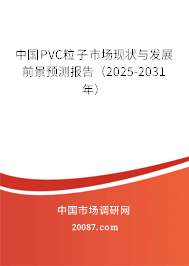 中国PVC粒子市场现状与发展前景预测报告（2025-2031年）