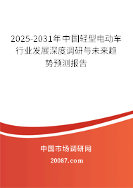 2025-2031年中国轻型电动车行业发展深度调研与未来趋势预测报告