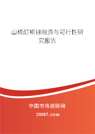 山楂酊项目融资与可行性研究报告