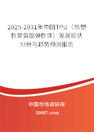 2025-2031年中国TPU（热塑性聚氨酯弹性体）发展现状分析与趋势预测报告