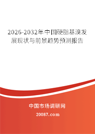 2026-2032年中国硬脂基溴发展现状与前景趋势预测报告 2026-2032年中国硬脂基溴发展现状与前景趋势预测报告