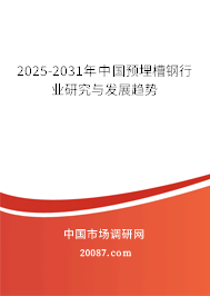 2025-2031年中国预埋槽钢行业研究与发展趋势