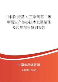 中国2-羟基-4-正辛氧基二苯甲酮生产核心技术发展路径及应用前景研判报告 中国2-羟基-4-正辛氧基二苯甲酮生产核心技术发展路径及应用前景研判报告
