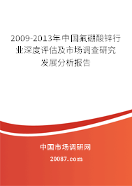 2009-2013年中国氟硼酸锌行业深度评估及市场调查研究发展分析报告